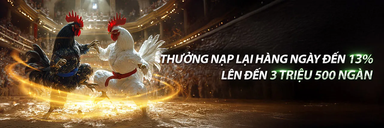 Đá Gà Thomo 18/7/2024 với không khí sôi động